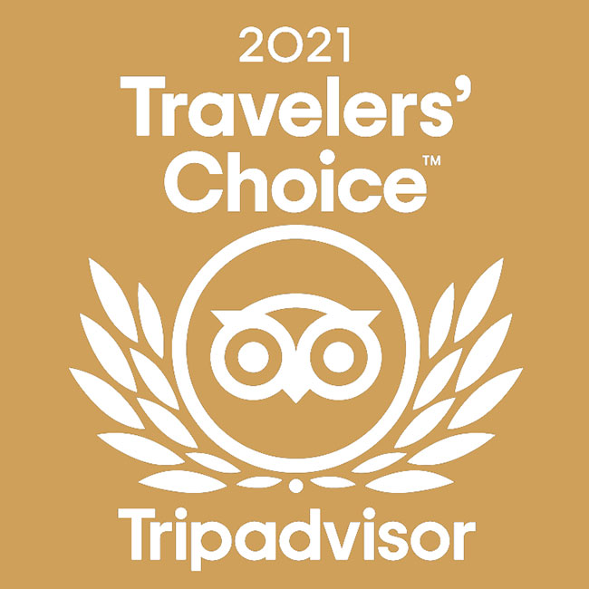 Travelers--Choice-Award-2021-from-TripAdvisor-650x650