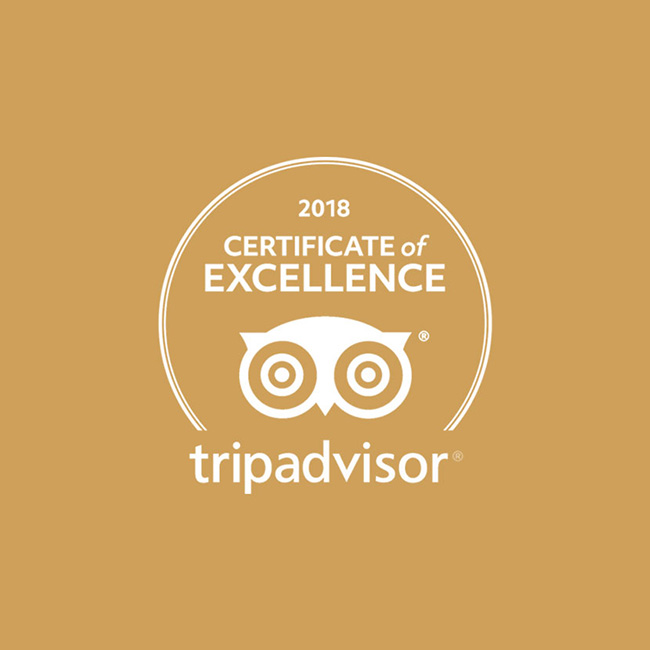 Trip-Advisor-650x650